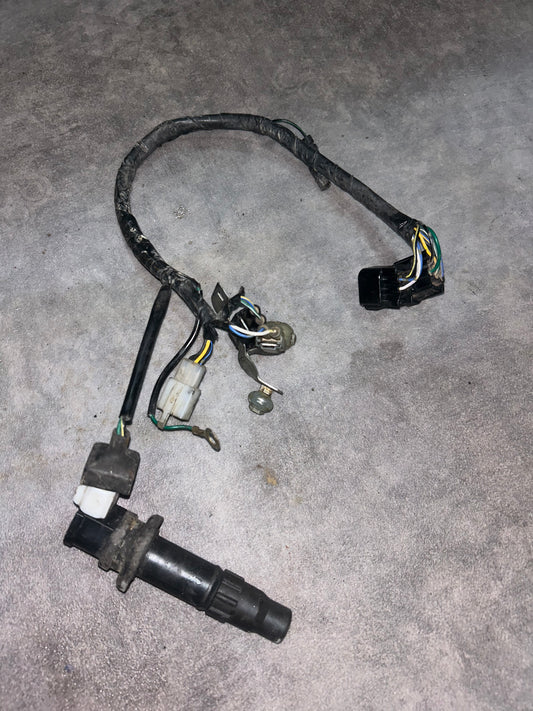 faisceau et bobine d'allumage 250 crf