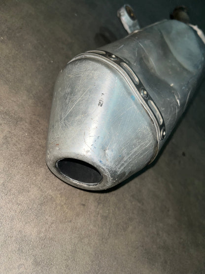 silencieux 250 rmz