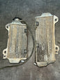 radiateur 250 rmz