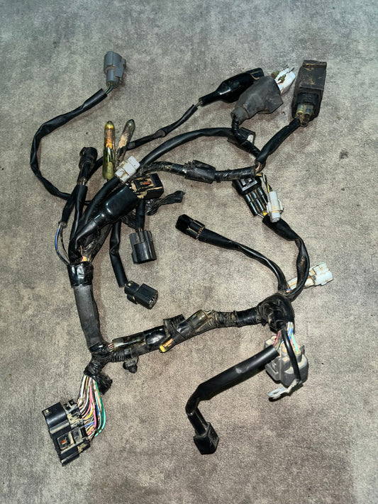 faisceau électrique 250 rmz