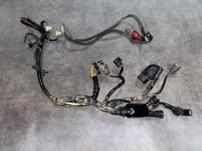 faisceau 250 crf