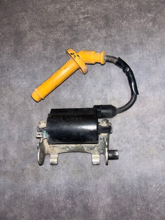 bobine d'allumage 250 crf