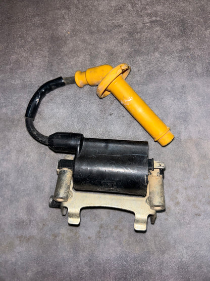 bobine d'allumage 250 crf