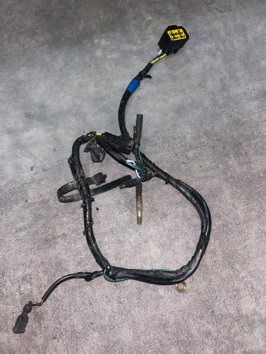 faisceau électrique 450 crf